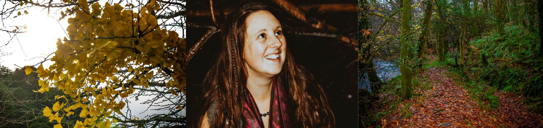 healing begins in nature. Autumn tree, Essentially Beth and woodland path